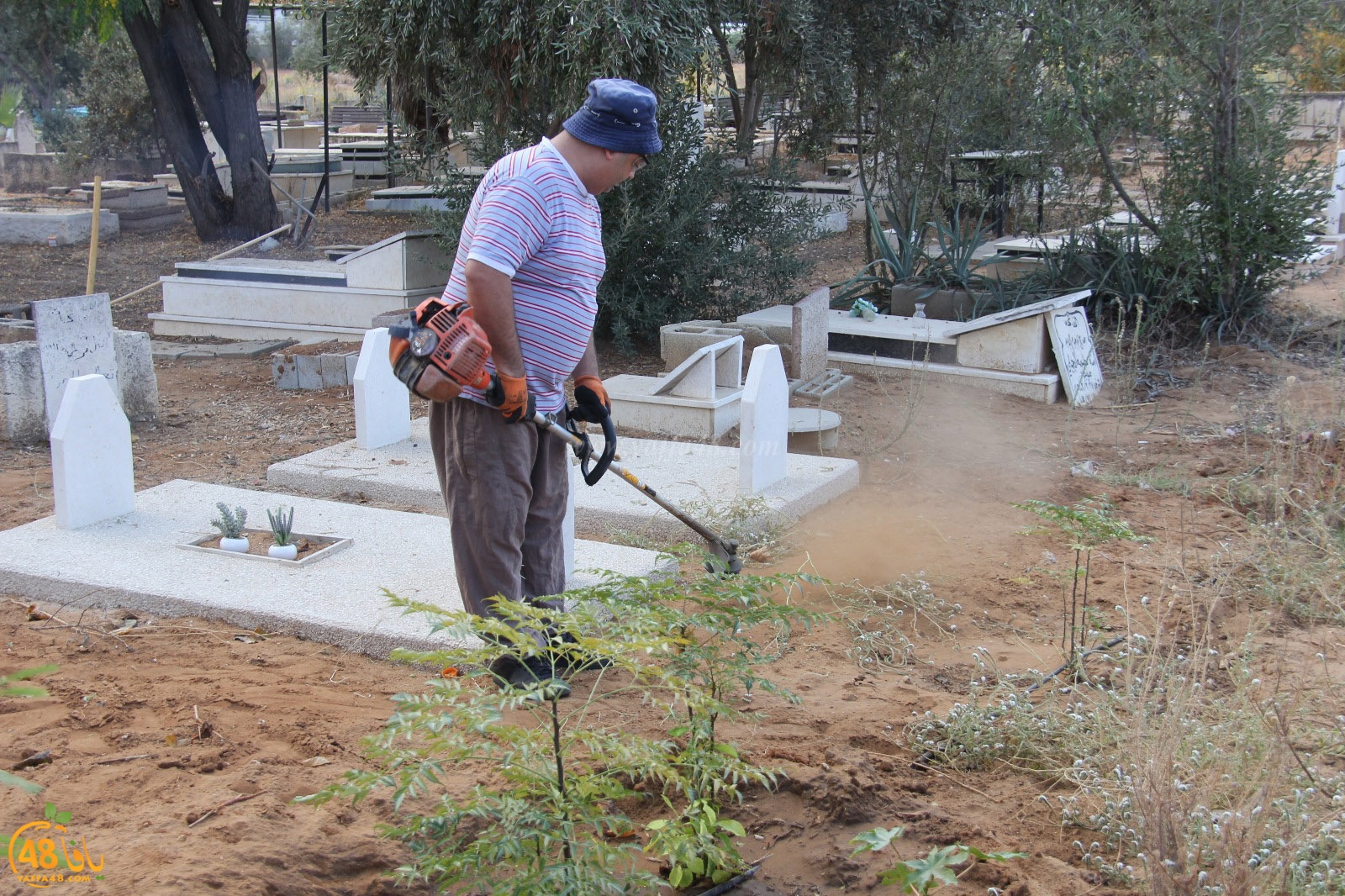 tasoo tandefet (89).jpg